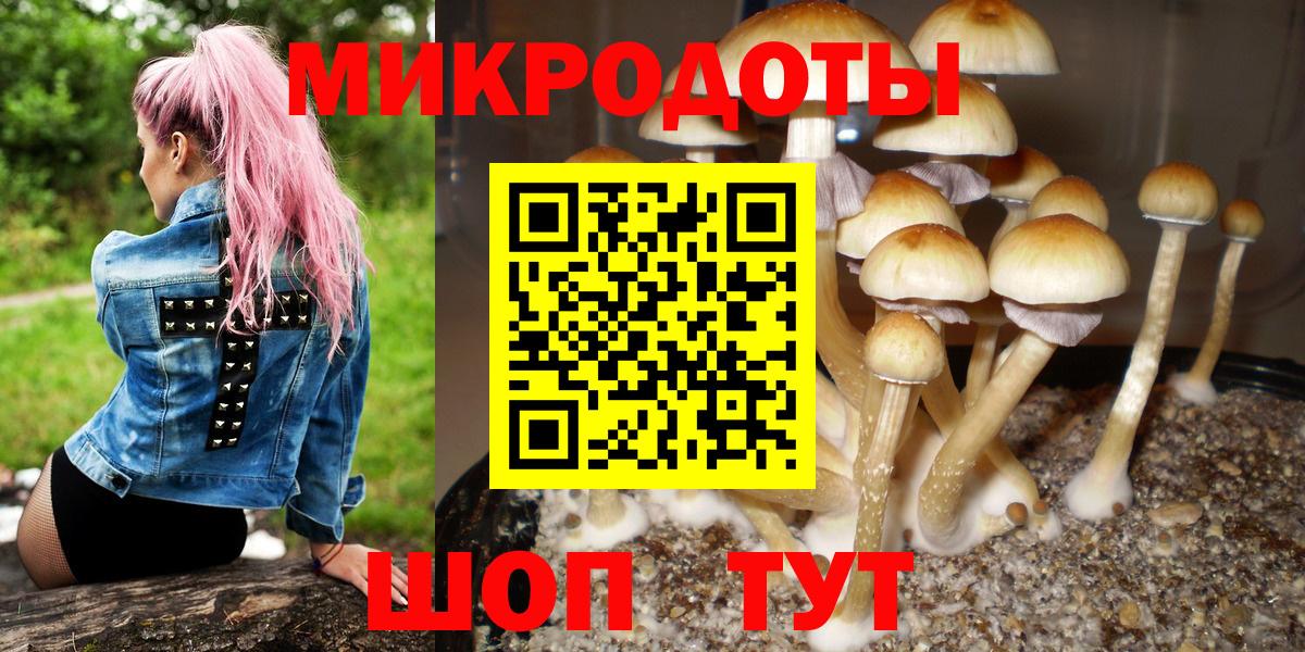Клин  Галлюциногенные грибы мухоморы  Вход с VPN 